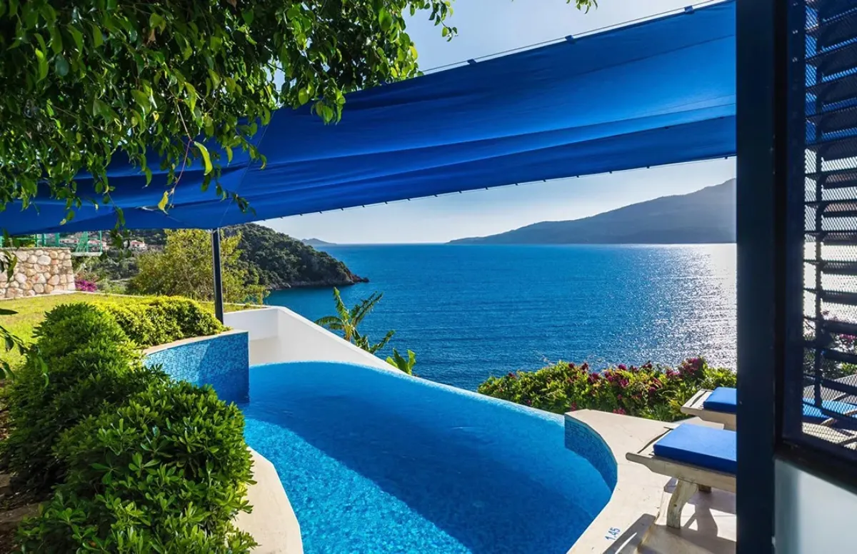 Ref: V1016