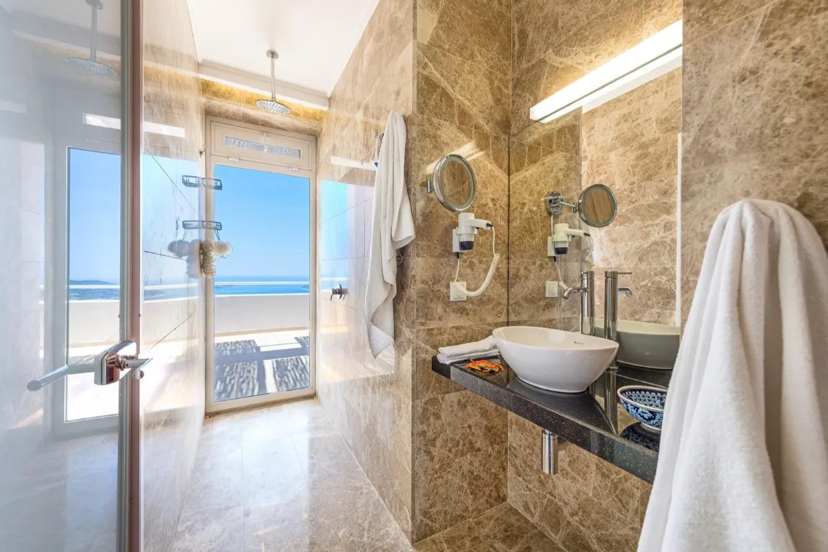 Ref: V1018