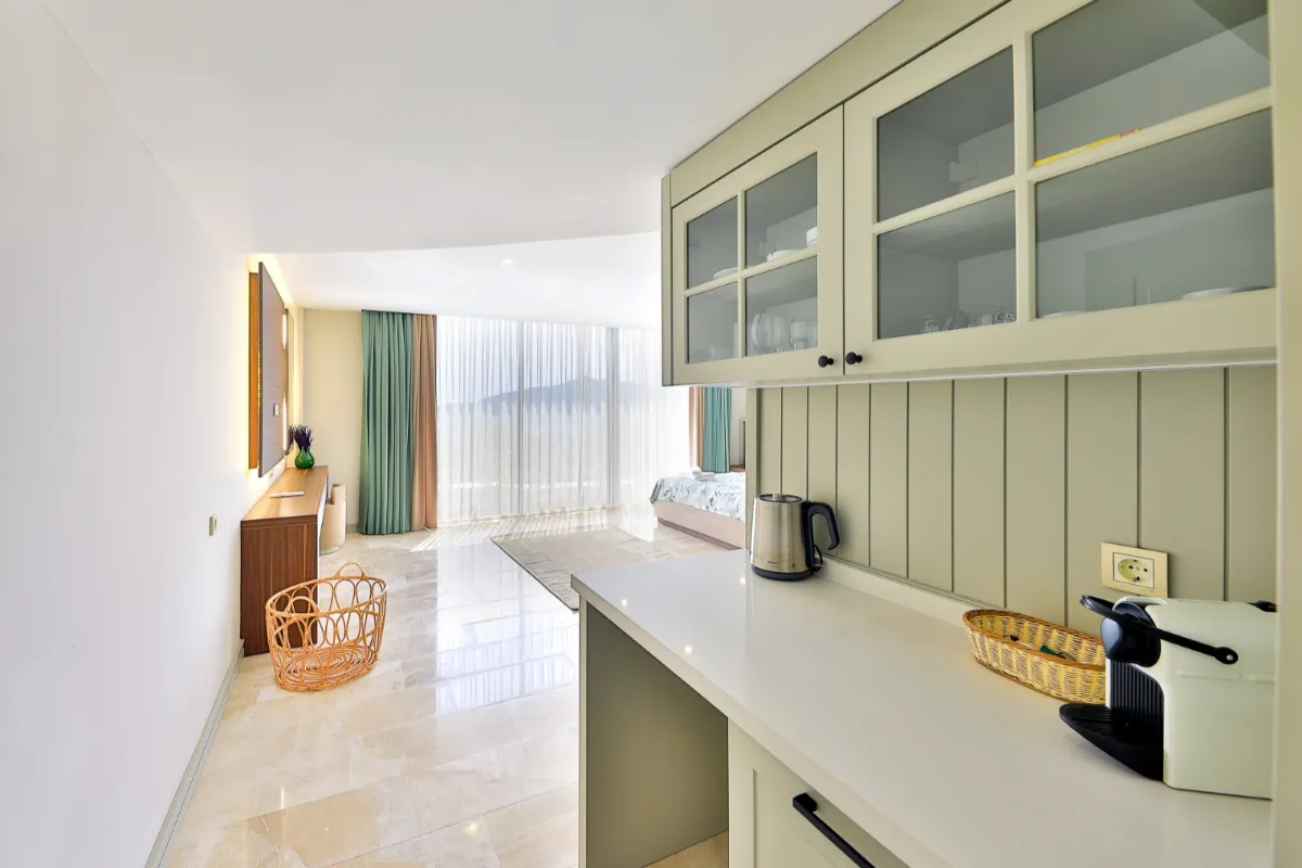 Ref: V1005