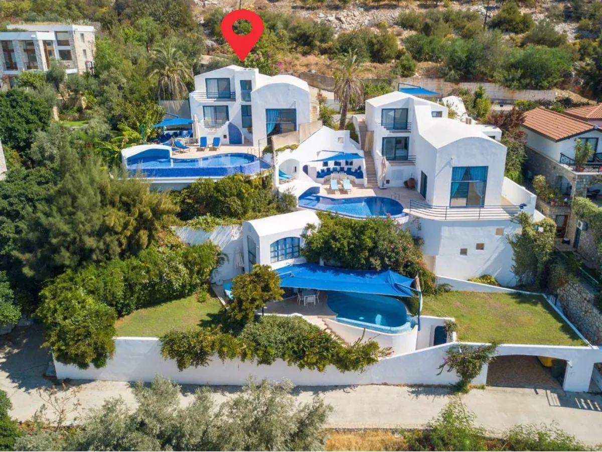 Ref: V1014