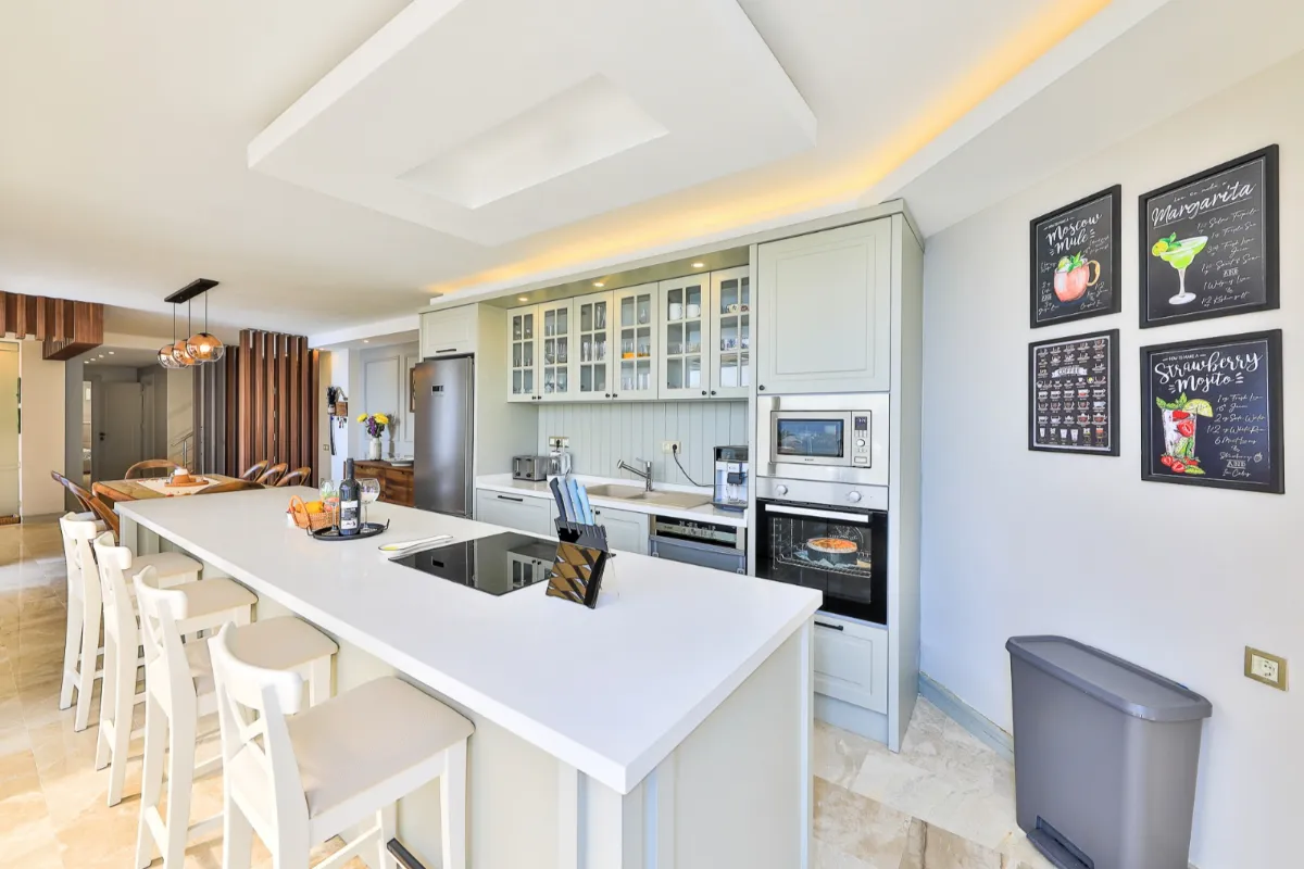Ref: V1005