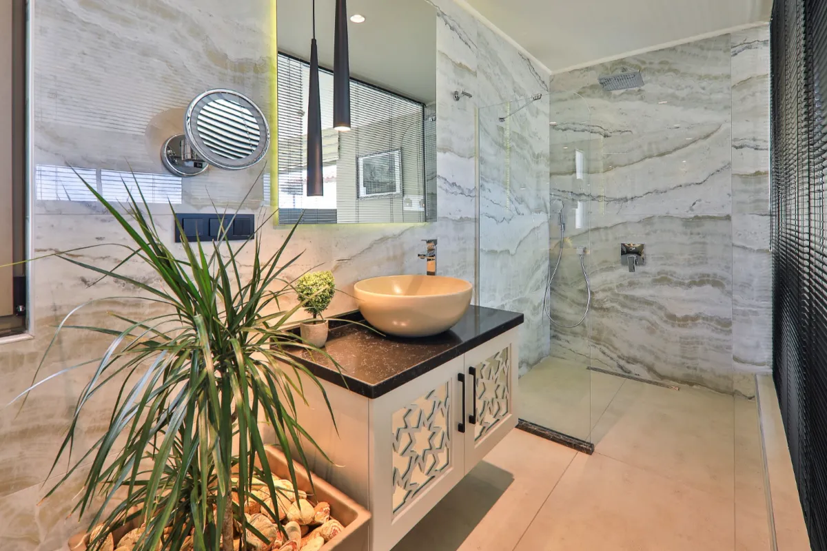 Ref: V1001