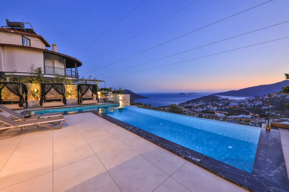 Ref: V1001