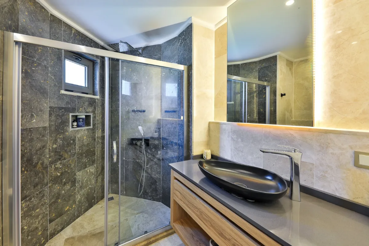 Ref: V1005