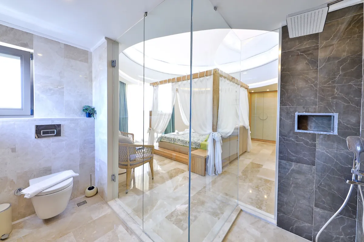 Ref: V1005