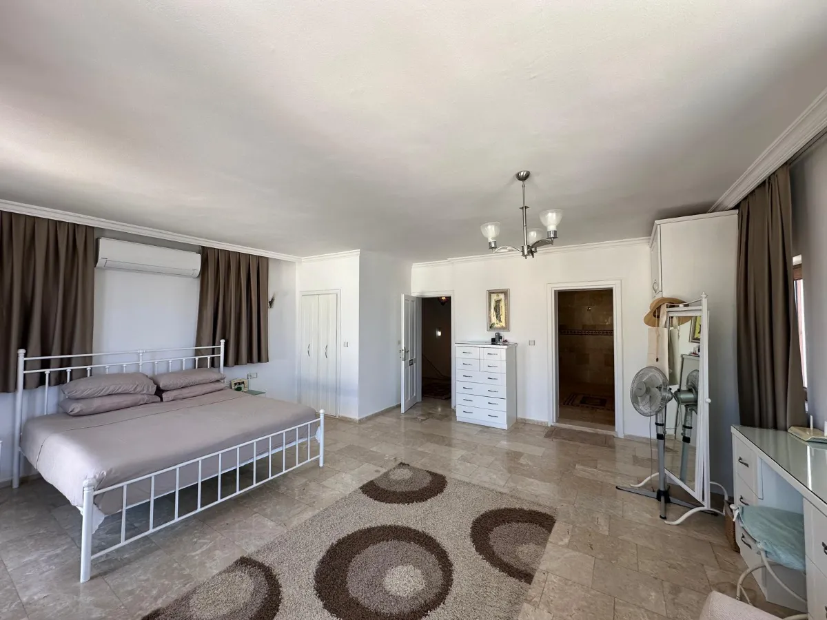 Ref: V1006