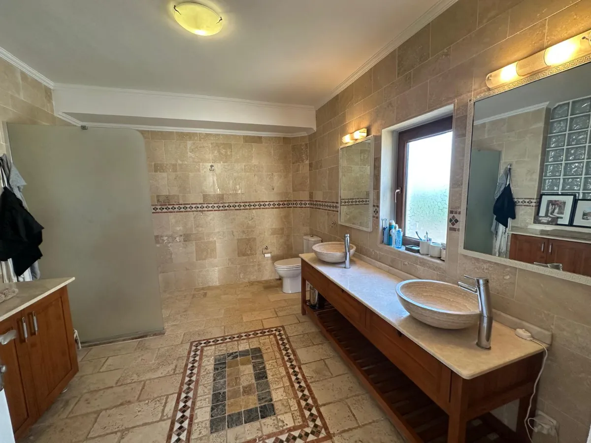 Ref: V1006