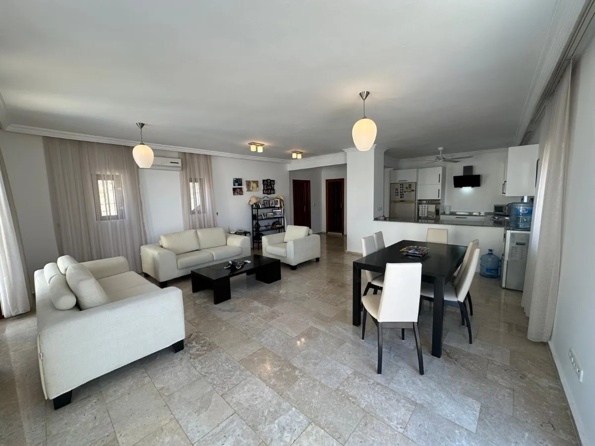 Ref: V1006