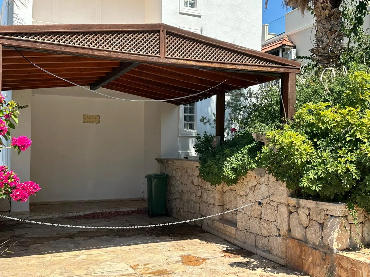 Ref: V1006