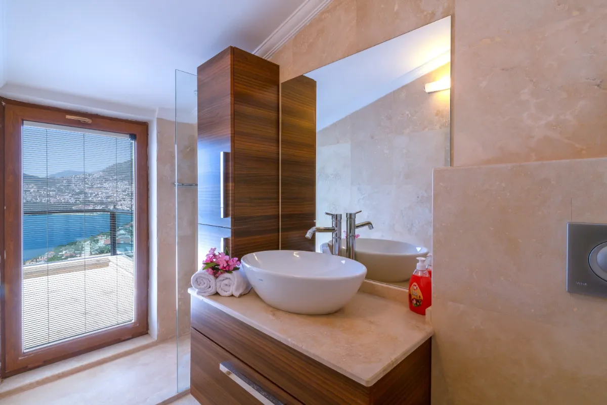 Ref: V1011