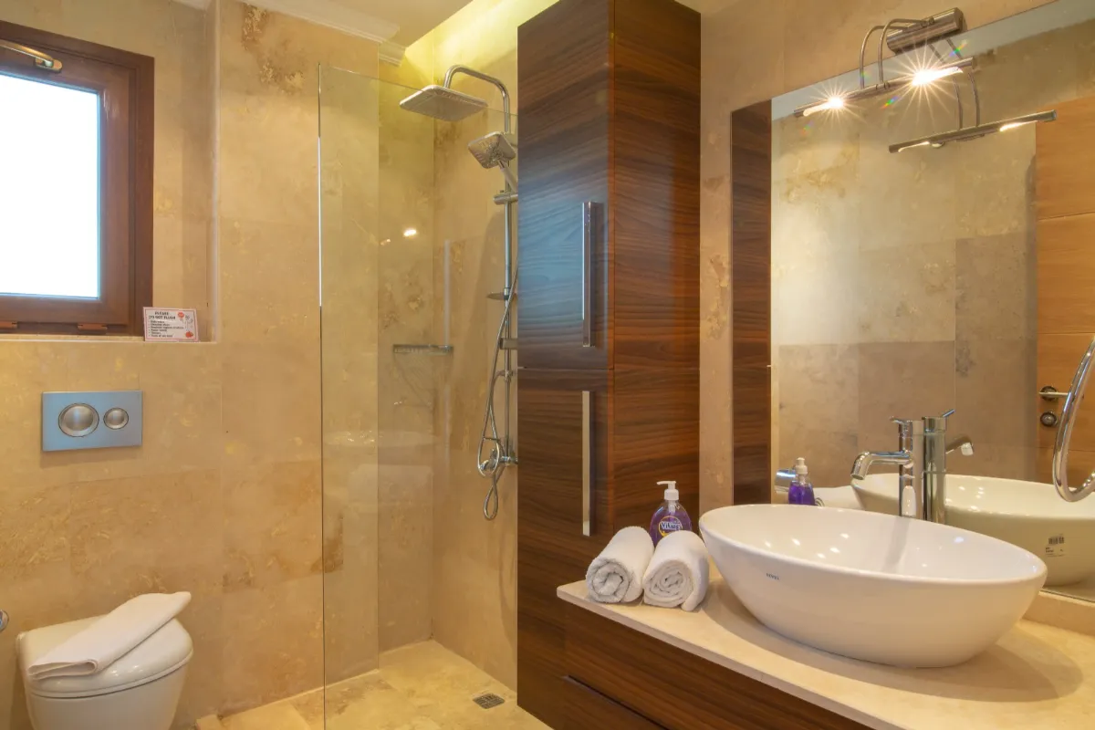 Ref: V1011