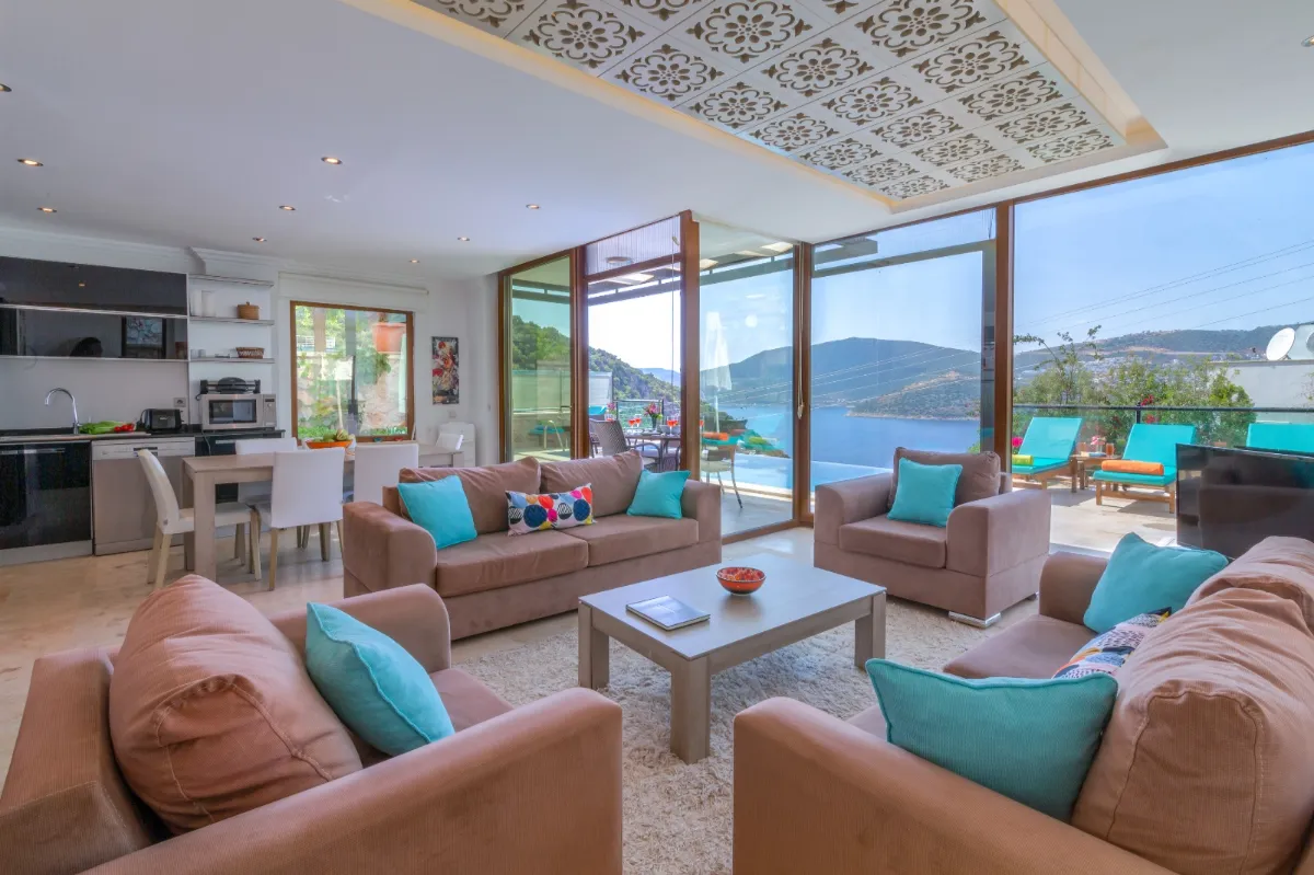 Ref: V1011