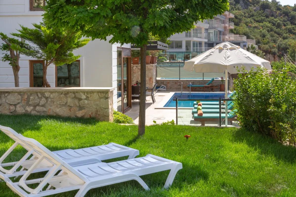 Ref: V1011