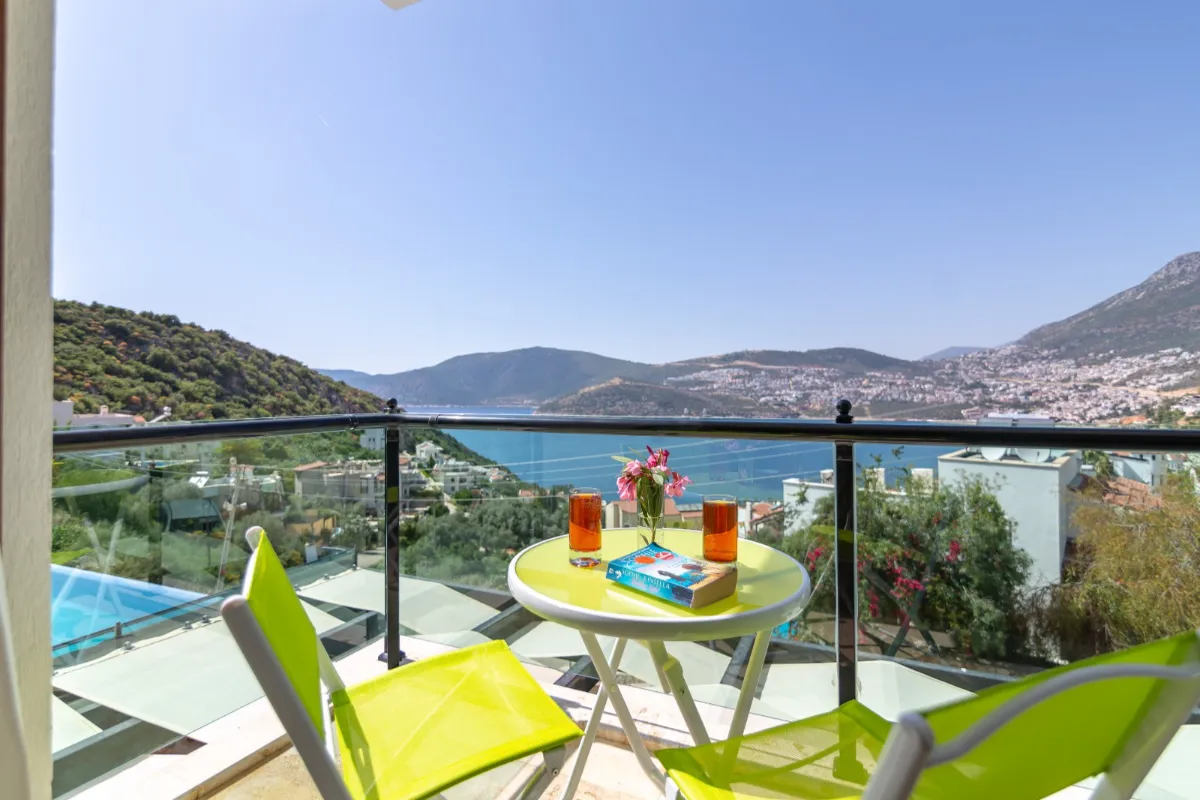 Ref: V1011