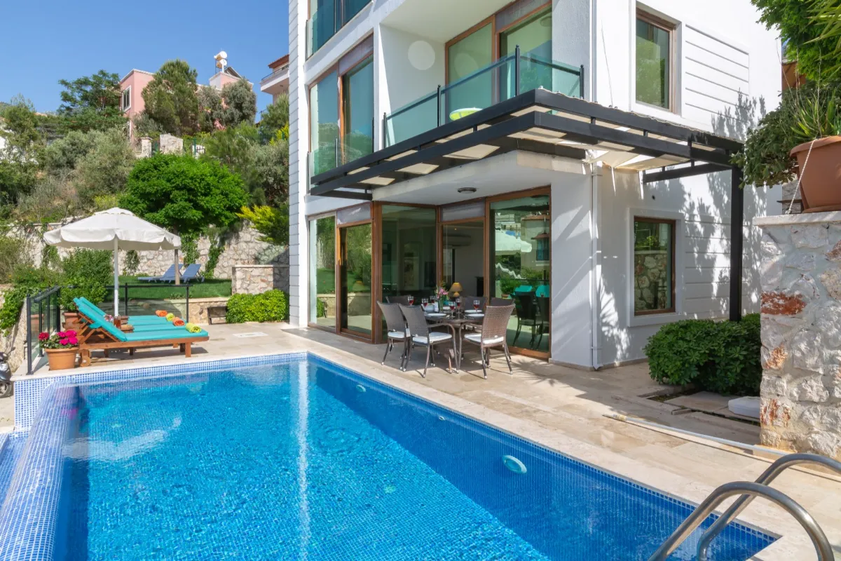 Ref: V1011