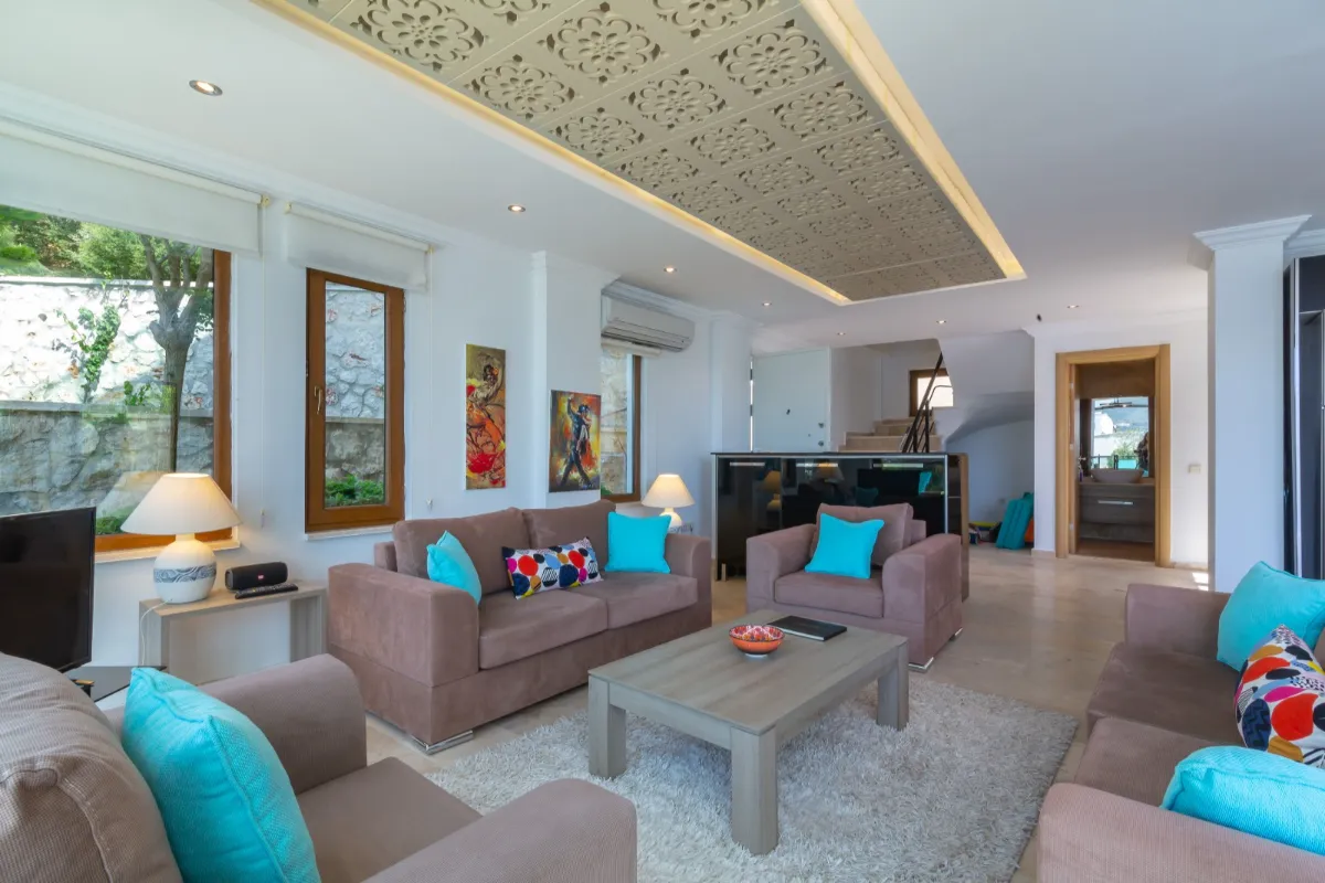 Ref: V1011