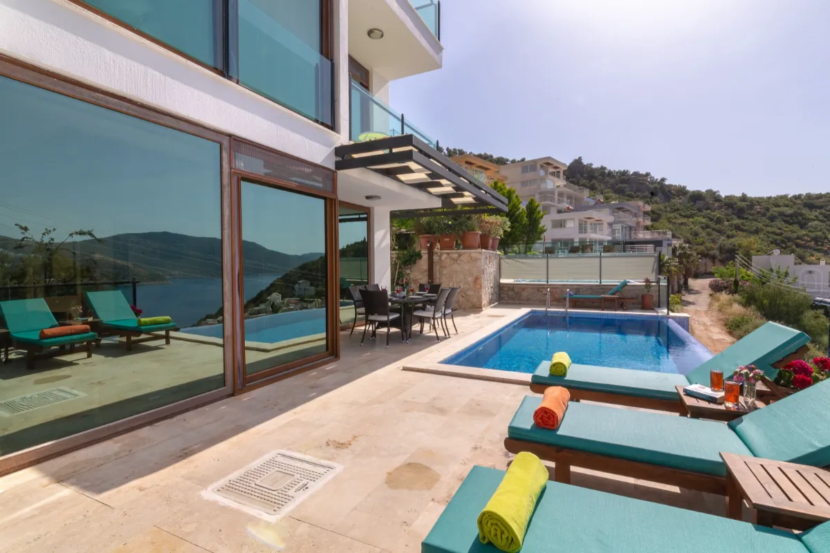 Ref: V1011
