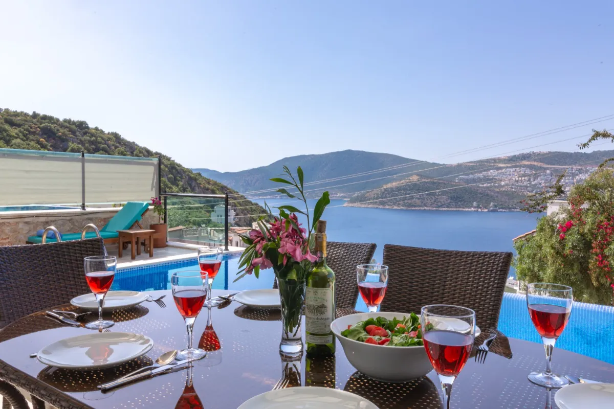 Ref: V1011
