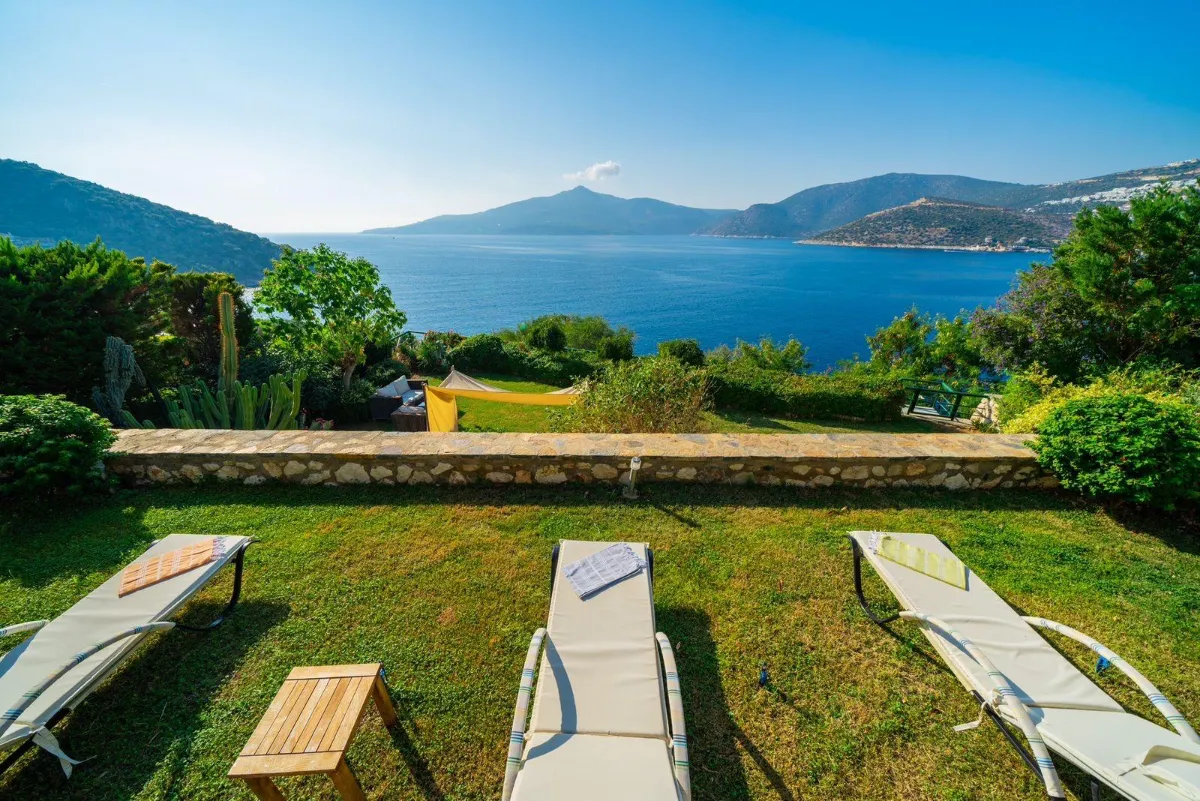 Ref: V1017
