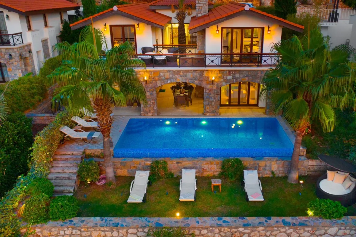 Ref: V1017